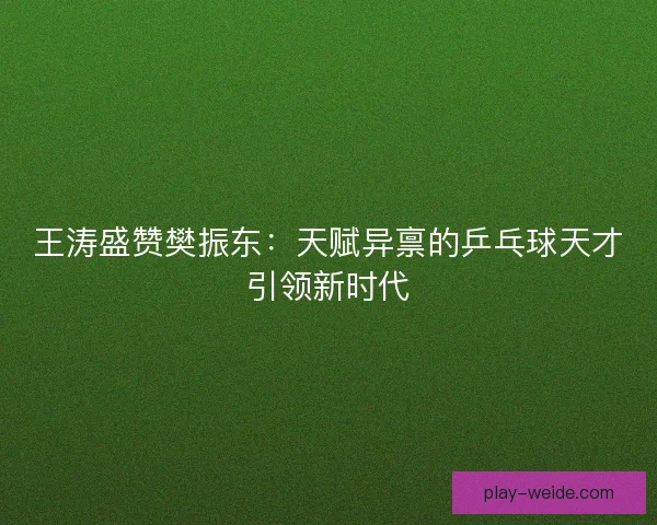 王涛盛赞樊振东:天赋异禀的乒乓球天才引领新时代 王涛盛赞樊振东:天赋异禀的乒乓球天才引领新时代