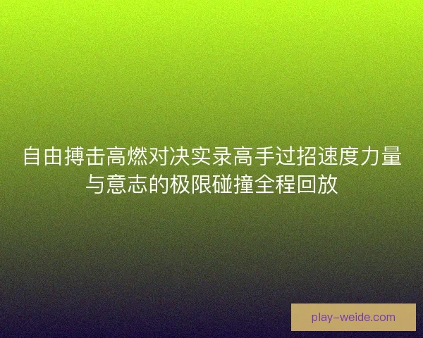 自由搏击高燃对决实录高手过招速度力量与意志的极限碰撞全程回放 自由搏击高燃对决实录高手过招速度力量与意志的极限碰撞全程回放