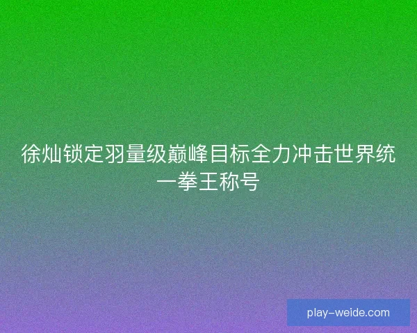 徐灿锁定羽量级巅峰目标全力冲击世界统一拳王称号 徐灿锁定羽量级巅峰目标全力冲击世界统一拳王称号